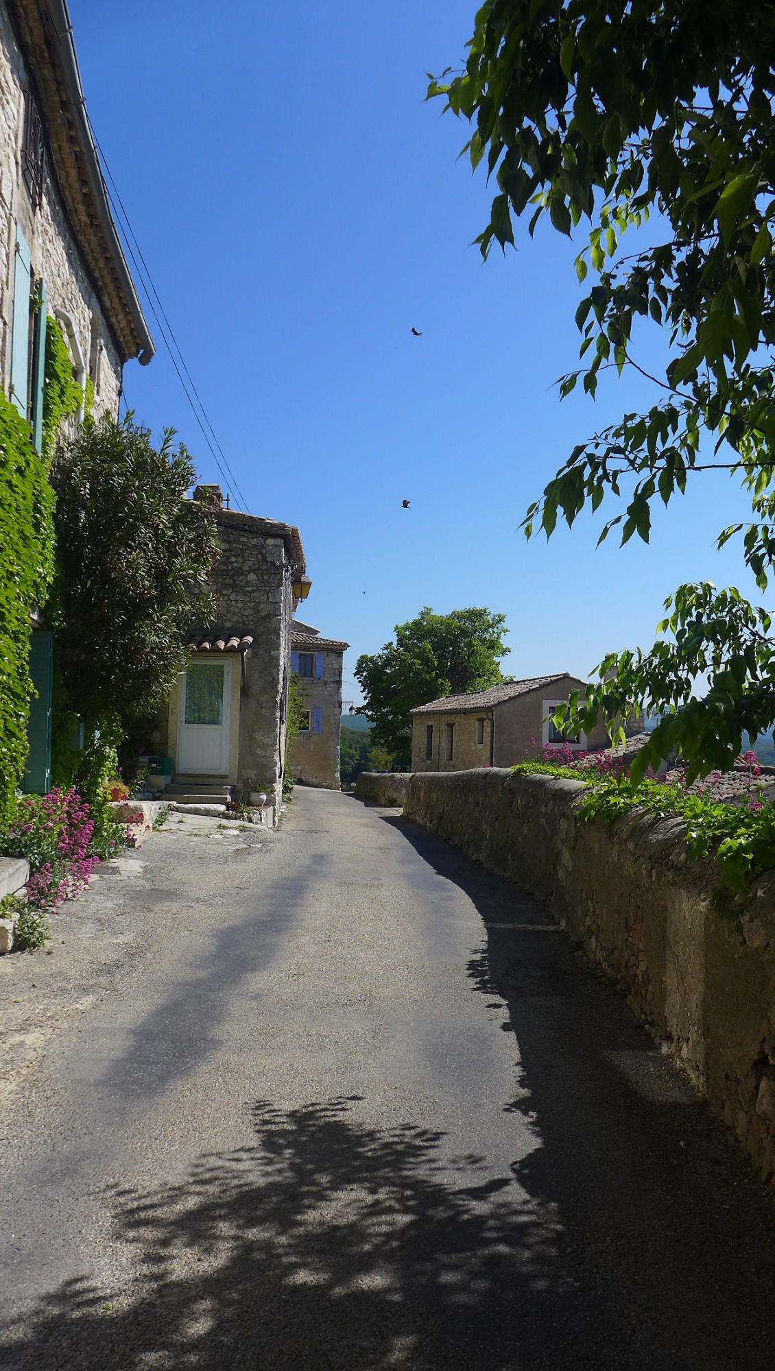 Maison de village a louer  à La Garde Adhémar avec Jaccuzzi et terrasses 